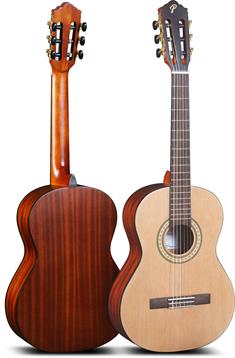 Pearl River Classic Guitar - CL20